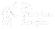 viniciusaragao.com.br